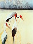 Yellowbilled Storks